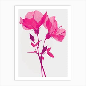 Hot Pink Bougainvillea 1 Art Print