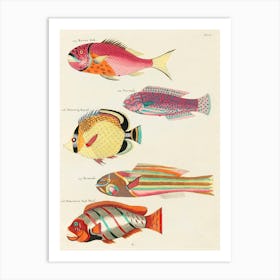Colourful And Surreal Illustrations Of Fishes Found In Moluccas (Indonesia) And The East Indies By Louis Renard(77) Art Print