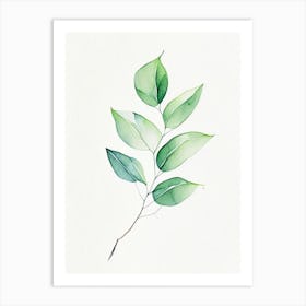 Wintergreen Leaf Minimalist Watercolour 6 Art Print