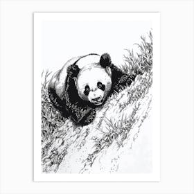 Giant Panda Cub Sliding Down A Hill Ink Illustration 4 Art Print