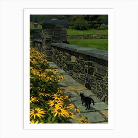 Cat On A Stone Wall Art Print