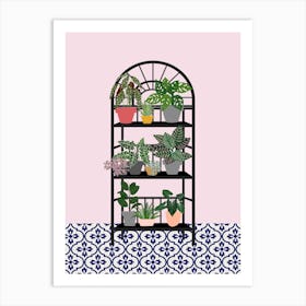Eclectic Plant Shelf Art Print