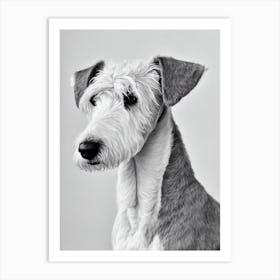 Bedlington Terrier B&W Pencil Dog Art Print