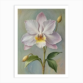 Pastel Orchid Art Print