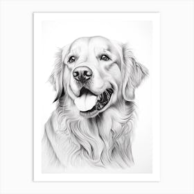 Golden Retriever Dog, Line Drawing 1 Art Print