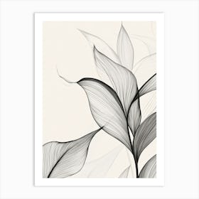 Black And White Leaves 1 Art Print