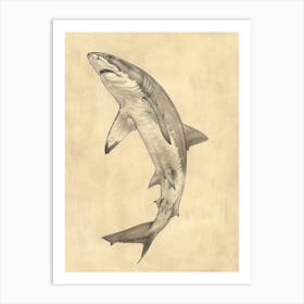 Angel Shark Vintage Illustration 4 Art Print