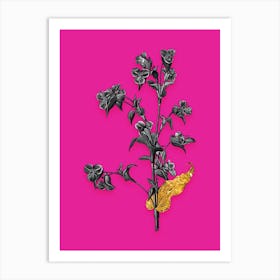 Vintage Commelina Tuberosa Black and White Gold Leaf Floral Art on Hot Pink n.0094 Art Print