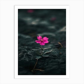 Single Flower In Water 9 Art Print