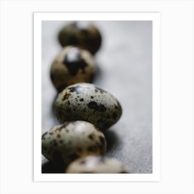 Quail Eggs 11 Art Print