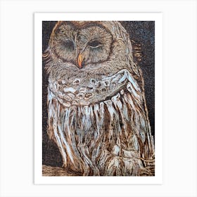 Barred Owl Art Print