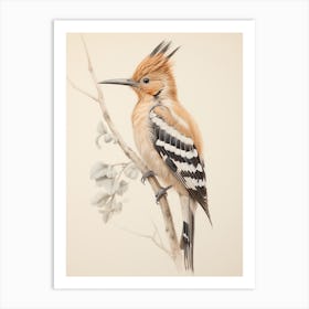Vintage Bird Drawing Hoopoe 2 Art Print