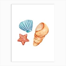 Colored seashells. Seashells. Summer.4 Art Print