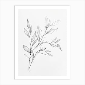 Pencil Drawing Of A Leaf Art Print