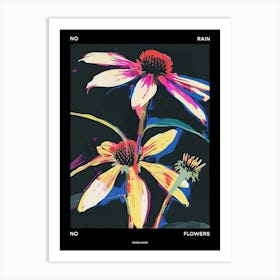 No Rain No Flowers Poster Coneflower 1 Art Print