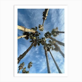 Palm Trees In The Sky Art Print