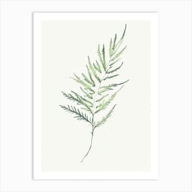 Artemisia Leaf Minimalist Watercolour Art Print