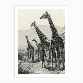 Herd Of Giraffe Pencil Portrait 3 Art Print
