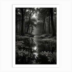 Dark Forest 2 Art Print