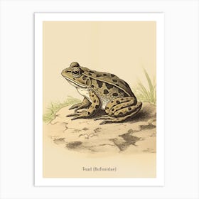 Vintage Toad Poster Art Print