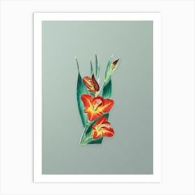 Vintage Parrot Gladiole Flower Botanical Art on Mint Green n.0027 Art Print