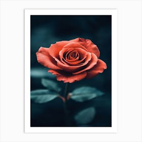 Rose Wallpaper 12 Art Print