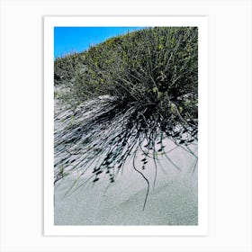 Sand Dune and Grass at the Beach Art Print