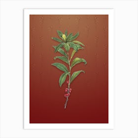 Vintage February Daphne Flowers Botanical on Falu Red Pattern Art Print
