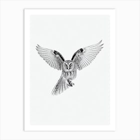 Owl B&W Pencil Drawing 5 Bird Art Print