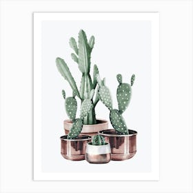 Watercolor Cactus In Rose Gold Pots Art Print