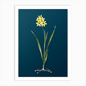 Vintage Ixia Fusco Citrina Botanical Art on Teal Blue n.0598 Art Print