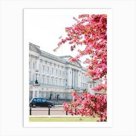 Buckingham Blossom London Art Print