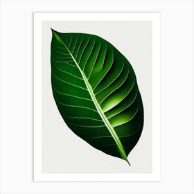 Kiwi Leaf Vibrant Inspired 2 Art Print