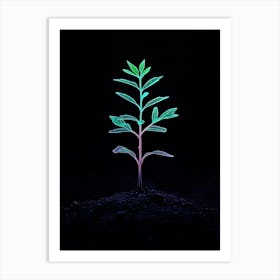 Plant Growing In The Dark 28 Art Print