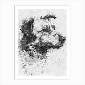 Pyrenean Shepherd Dog Charcoal Line 2 Art Print