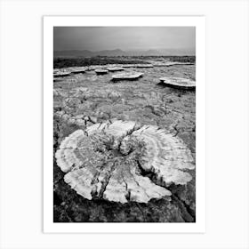 Salt Of The Earth Landscape In The Desert In Ethiopia Art Print