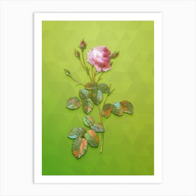 Vintage Provence Rose Botanical Art on Love Bird Green n.1799 Art Print