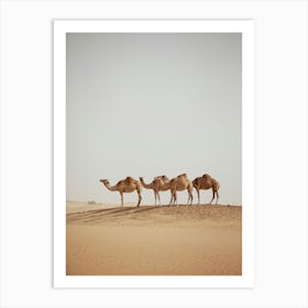 Caravan of Camels - Al Wathba Abu Dhabi UAE photo print - moody animal photography art Art Print Art Print