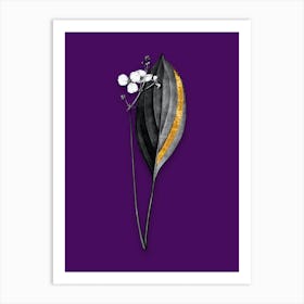 Vintage Bulltongue Arrowhead Black and White Gold Leaf Floral Art on Deep Violet n.0459 Art Print