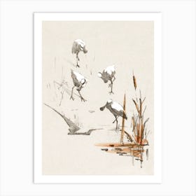 Greeting Card With Four Spoonbills, Theo Van Hoytema Art Print