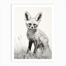 Bat Eared Fox In A Field Pencil Drawing 5 Art Print