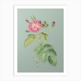 Vintage Harsh Downy Rose Botanical Art on Mint Green n.0357 Art Print