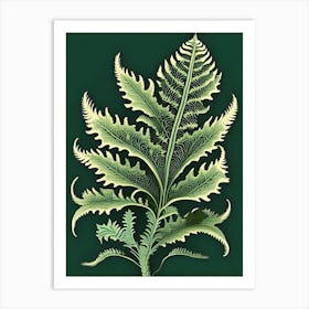 Ruffled Fern Vintage Botanical Poster Art Print