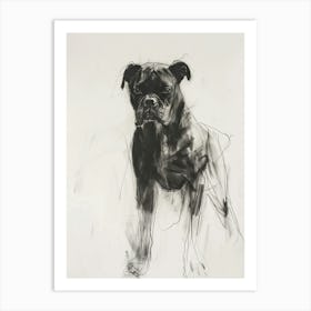 Boxer Dog Charcoal Line 1 Art Print
