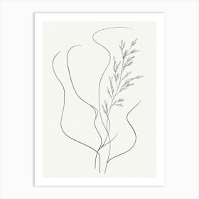 Line Drawing Of A Plant 1 Art Print