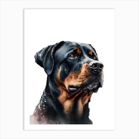 Rottweiler Dog Art Print