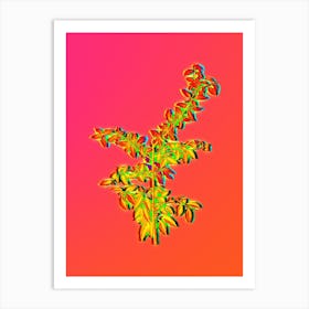 Neon Rock Buckthorn Botanical in Hot Pink and Electric Blue n.0306 Art Print