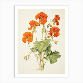 Nasturtiums Flower Vintage Botanical 2 Art Print