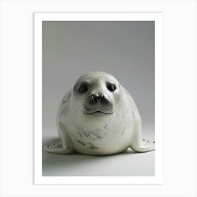 Seal portrait Art Print