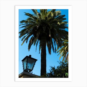 Palm Trees 20210403 203ppub Art Print